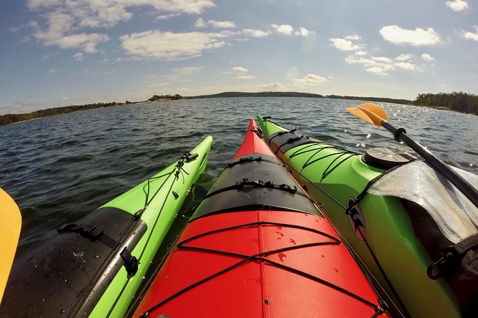 1-Day Small-Group Stockholm Archipelago Kayak Tour - Who Will Enjoy This Day Most?