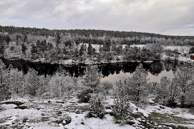 1-Day Small-Group Stockholm Nature Hiking - Leaving Stockholm for a quieter kind of day
