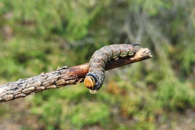 2-Day Small-Group Basic Skills Survival Course in Södermanland - William’s Teaching Style