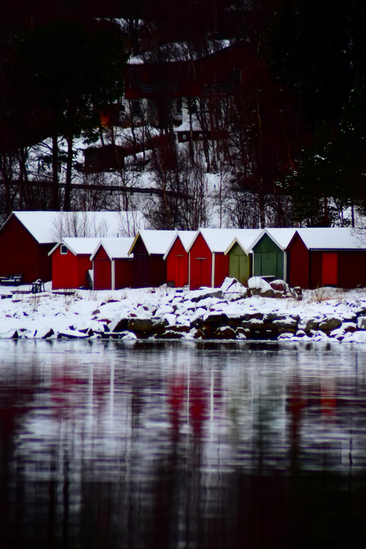 Abisko: Fjord Sightseeing and Photography Tour - The final stop adds variety to the fjord route