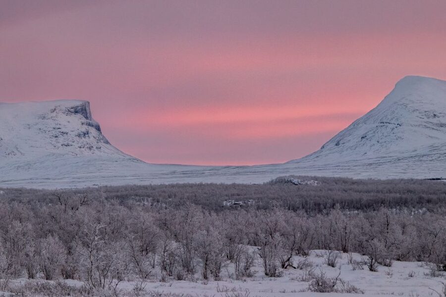 Abisko National Park: Scenic Morning Hike with Transfer - Lake Torneträsk and wide-open Arctic views