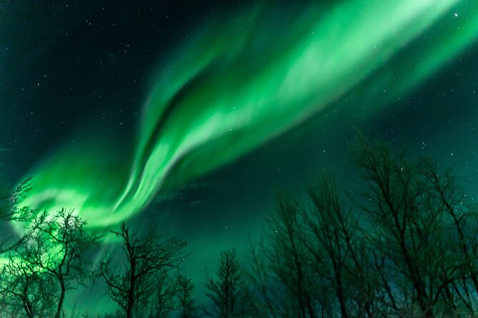 Abisko Northern Lights Tour with Photographer - Why Abisko Is a Strong Base for Aurora Hunting