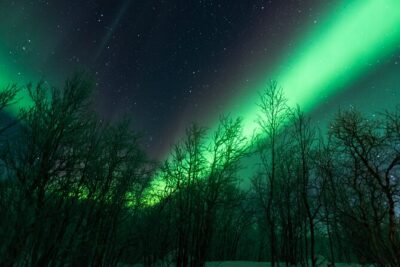 Abisko Northern Lights Tour with Photographer