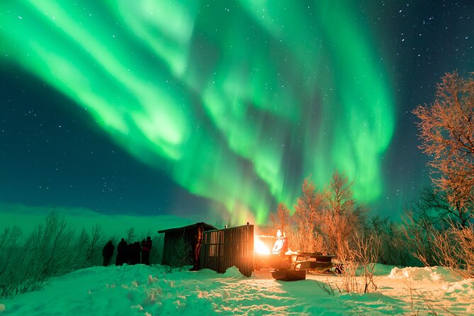 Abisko Northern Lights Tour with Photographer - Watching the Aurora With a Photographer
