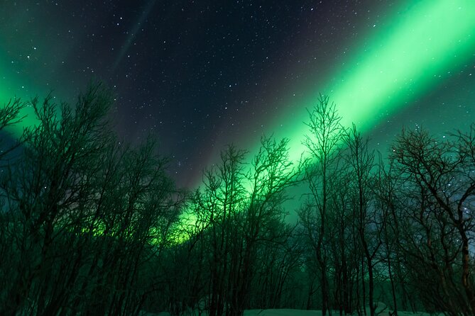 Abisko Northern Lights Tour with Photographer - The 7:00 pm Pickup and First Weather Check