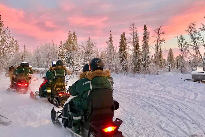 Afternoon Snowmobile Tour - Key points at a glance