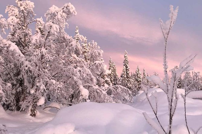 Afternoon Snowmobile Tour - Cold-weather clothing and comfort