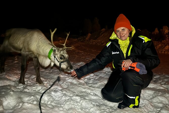 Arctic Adventure with Reindeer and Northern Lights Hunt 18:30 pm - Why the reindeer visit matters