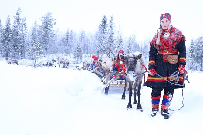 Aurora Hunting with Reindeer Caravan - Key things to know before booking