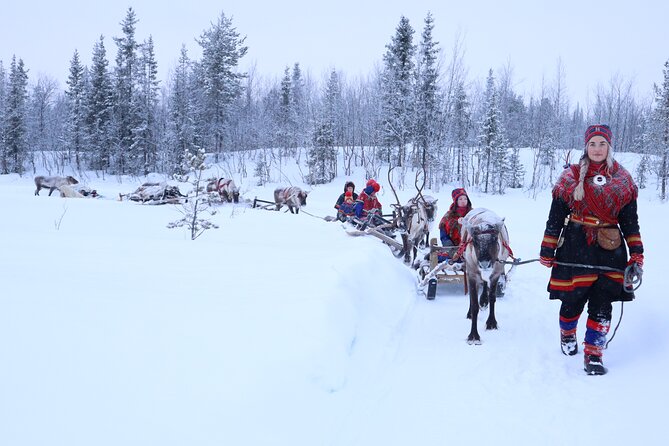Aurora Hunting with Reindeer Caravan - Warming up beside the fire