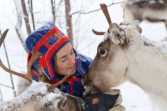 Aurora Hunting with Reindeer Caravan - Riding a reindeer sled into the forest