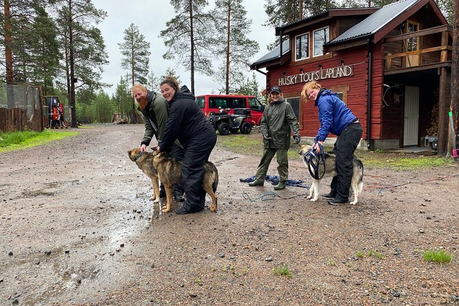 Autumn Husky Sit and Drive Cart Tour from Kiruna - Key points at a glance