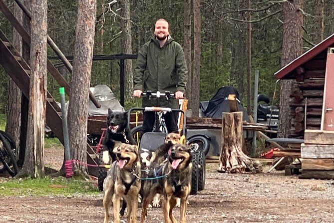 Autumn Husky Sit and Drive Cart Tour from Kiruna - Arriving at Husky Tours Lapland in Svappavaara