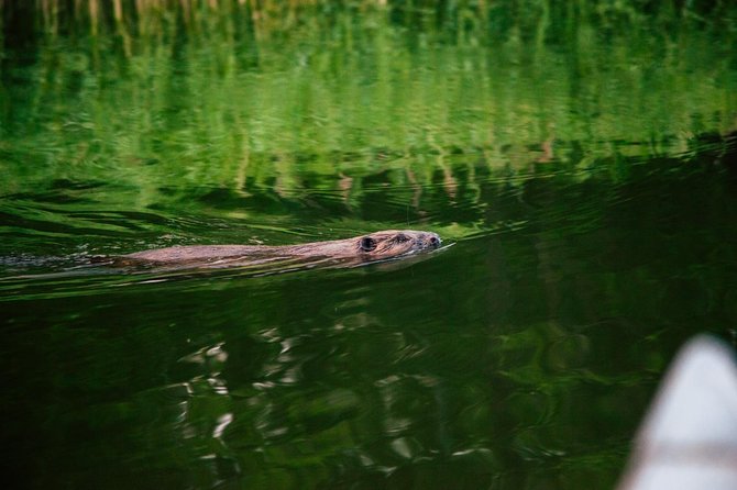 Canoe adventure in Stockholm Archipelago - What the three-and-a-half-hour schedule feels like