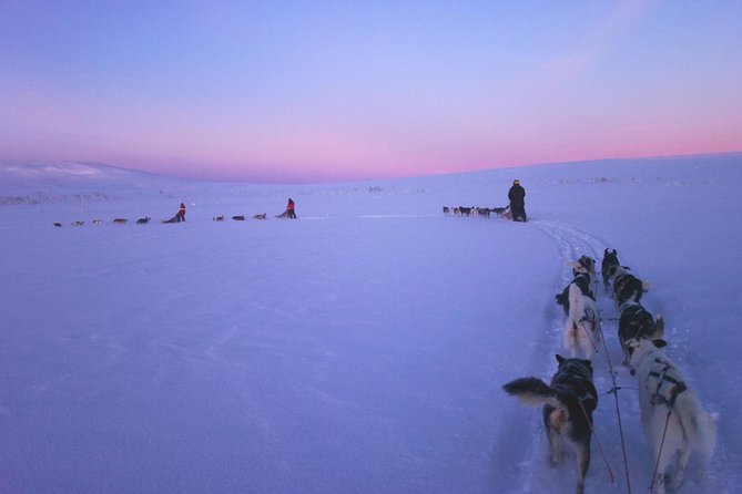 Dogsled Adventure Kiruna - Leaving Kiruna for the dog yard
