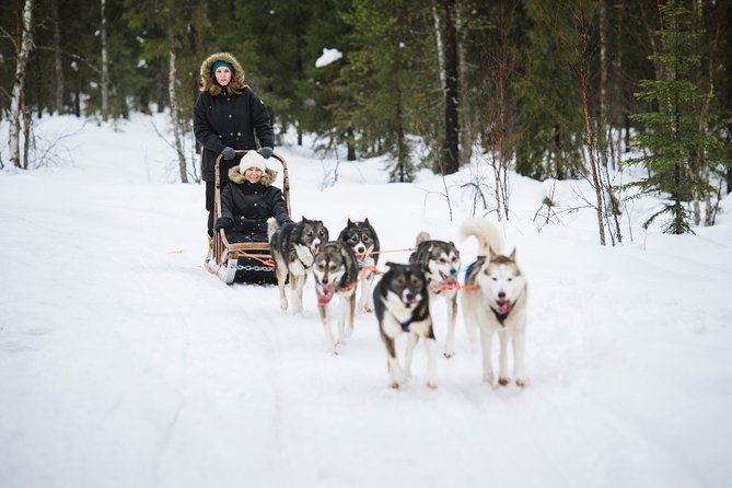 Dogsled Adventure Kiruna - A fire, hot food, and Swedish fika