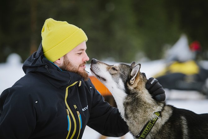 Dogsled Adventure Kiruna - Who will enjoy this Kiruna dogsled trip?