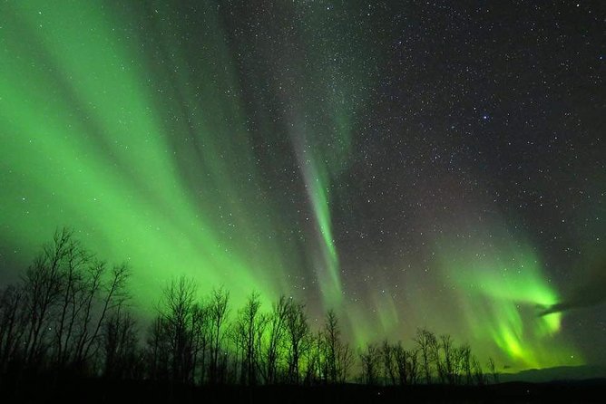 Enjoy the Aurora show on top of the mountain inc tipi dinner - Why the guide matters on a difficult night