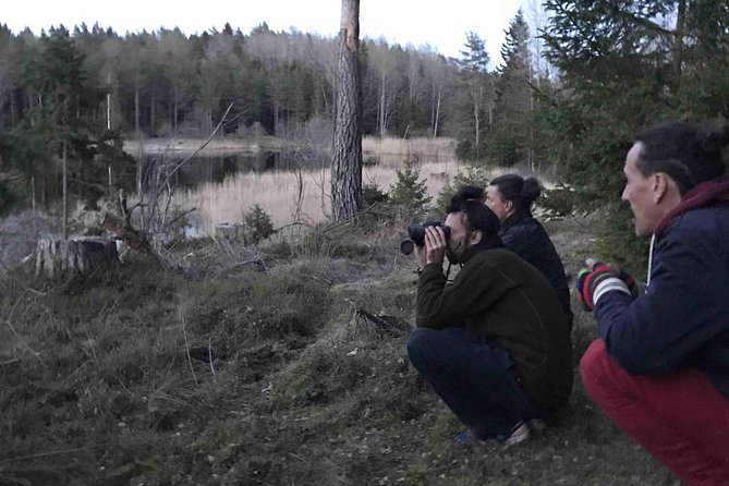 Evening Wildlife Safari with Campfire Dinner from Stockholm - What the Eight-Person Limit Adds