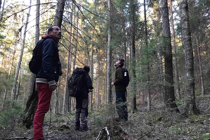 Evening Wildlife Safari with Campfire Dinner from Stockholm - Who Will Enjoy This Stockholm Wildlife Safari?