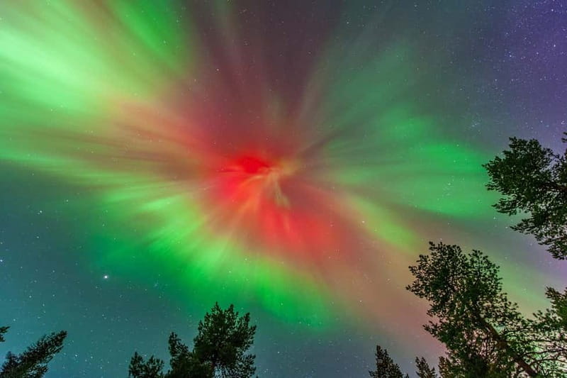 Experience the majestic Auroras Kiruna-Abisko & lodge dinner - The road from Kiruna toward Abisko