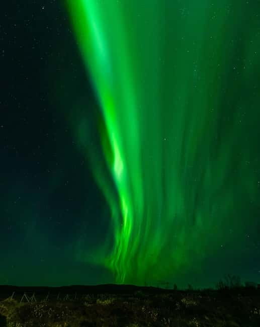 Experience the majestic Auroras Kiruna-Abisko & lodge dinner - Final verdict: book it for the full evening