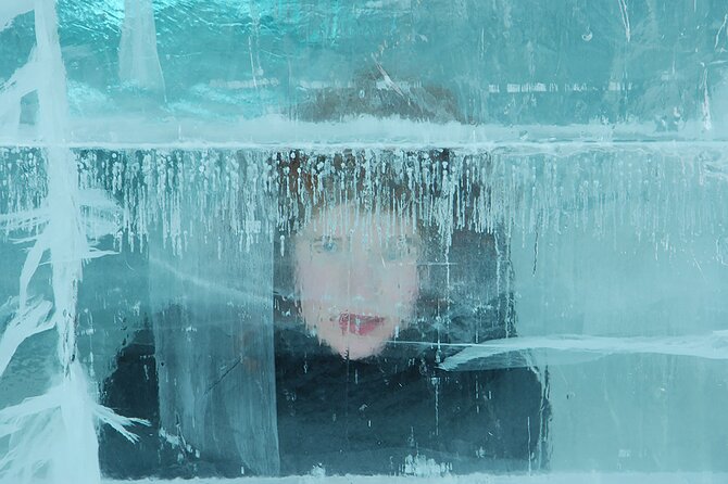Explore the Icehotel, Day Trip from Abisko - Who will enjoy this tour most?