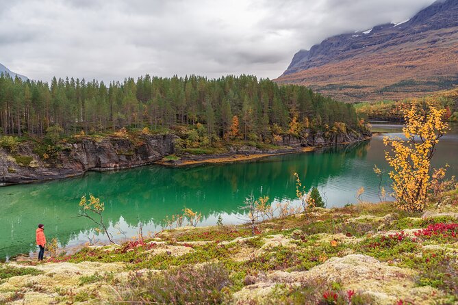 Explore the Norwegian Fjords and the Wildlife From Abisko - Fjord viewpoints and whales from the shore