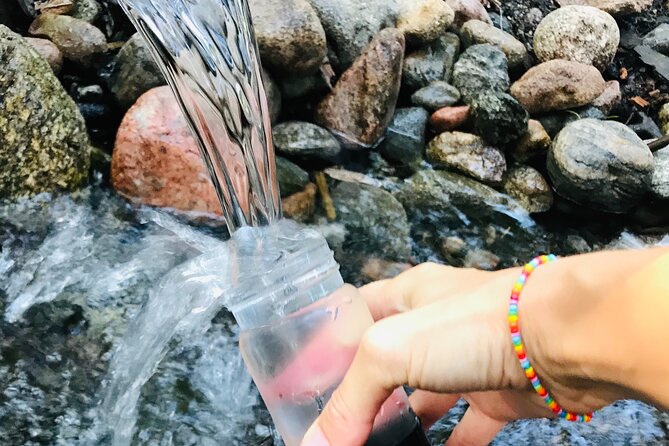 Forestbathing Slow Walking and Healing Spring Water, Stockholm - Key points at a glance