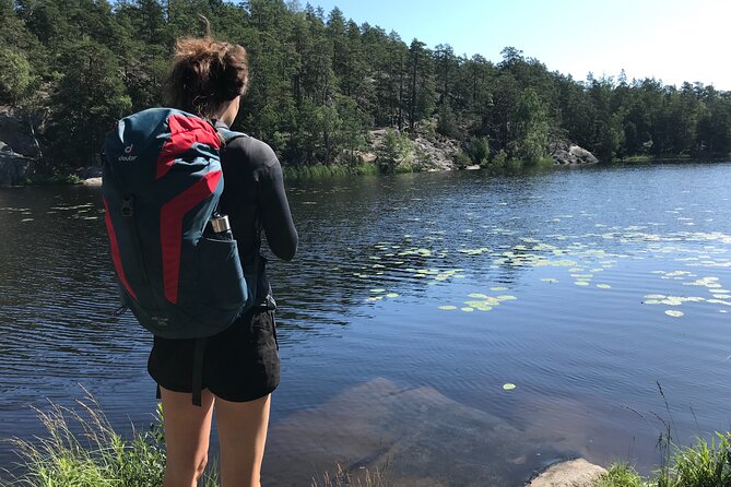 Forestbathing Slow Walking and Healing Spring Water, Stockholm - Why this nature tour feels different from a city excursion