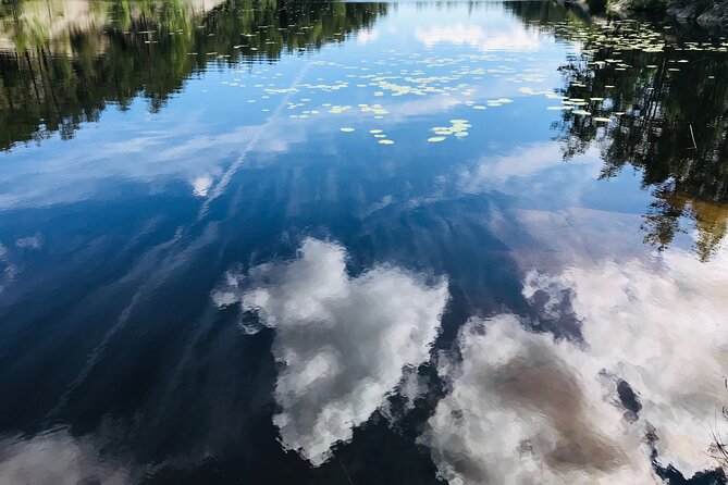 Forestbathing Slow Walking and Healing Spring Water, Stockholm - Around the lake, with time to notice the details