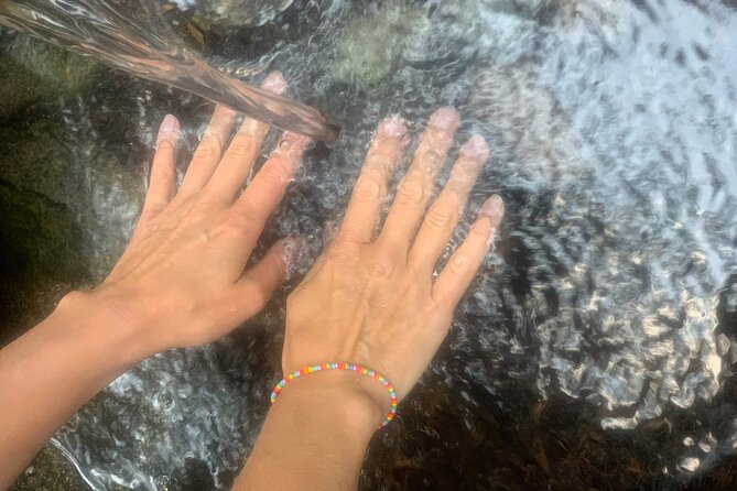 Forestbathing Slow Walking and Healing Spring Water, Stockholm - Is $213.27 a fair price?