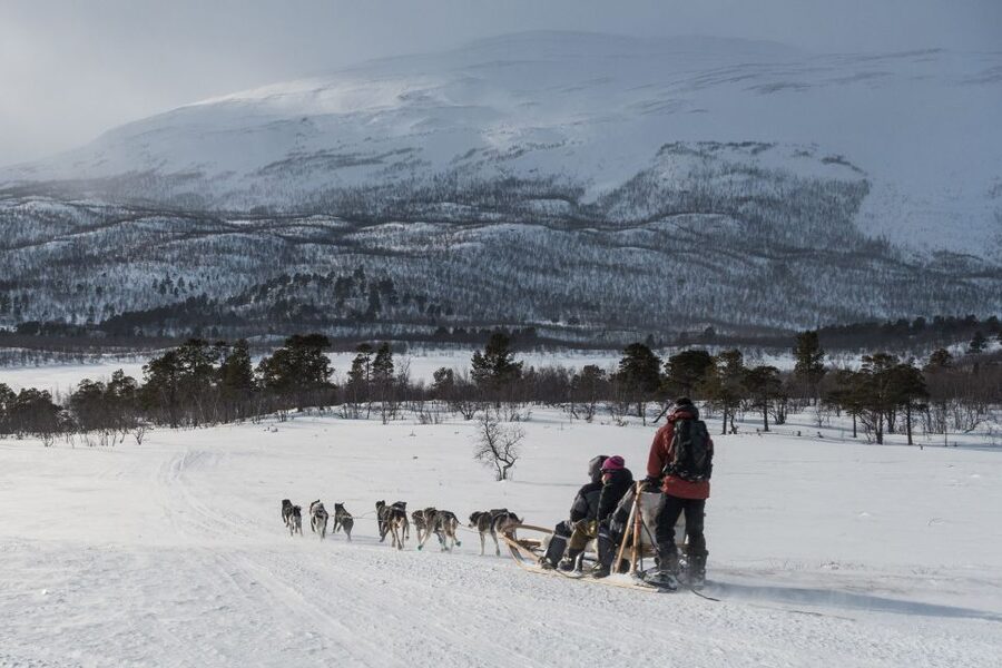 From Abisko: Dog Sledding Excursion to Kiruna with Fika - From Abisko pickup to the Kiruna dog camp