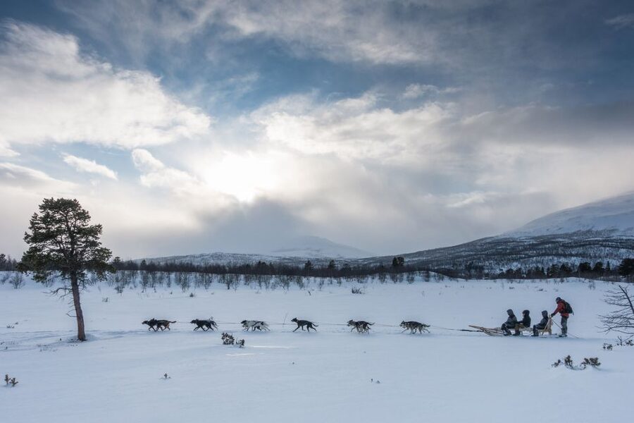 From Abisko: Dog Sledding Excursion to Kiruna with Fika - Getting dressed for the Arctic