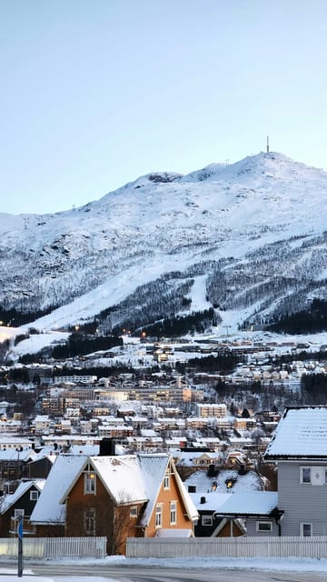From Kiruna: Narvik City and Fjord Day Trip - Why This Route Is Worth Your Day