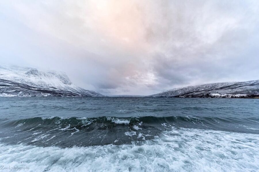 From Kiruna: Narvik City and Fjord Day Trip - Crossing Into Norway