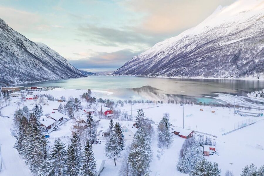 From Kiruna: Narvik City and Fjord Day Trip - Transportation, Timing, and Comfort