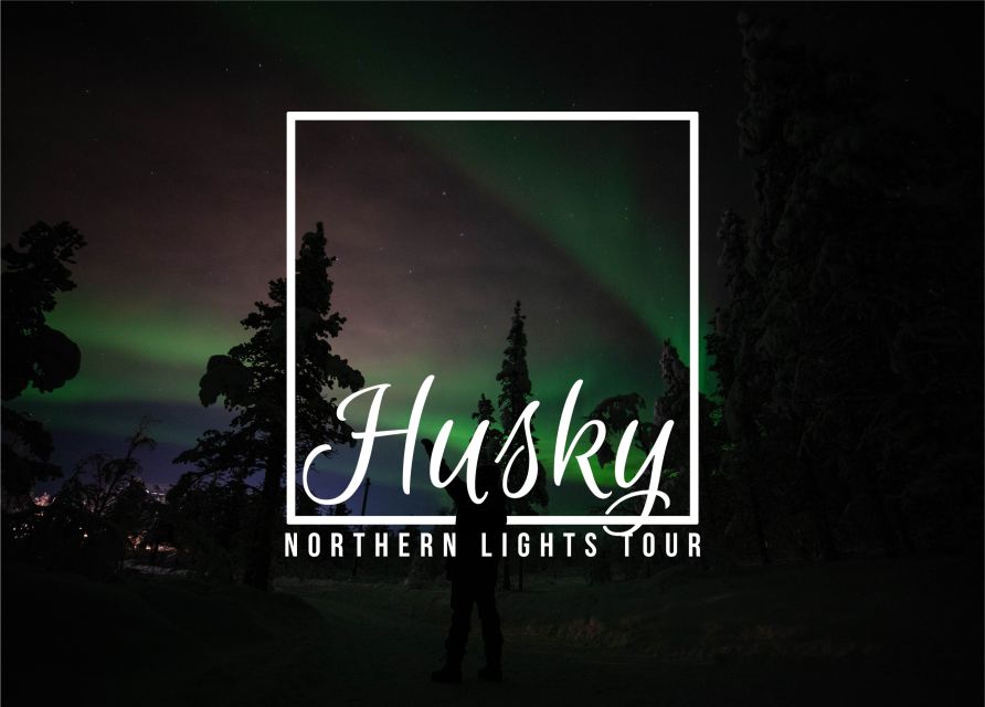 From Kiruna: Northern Lights Guided Husky Sledding Adventure - Key points to know before booking