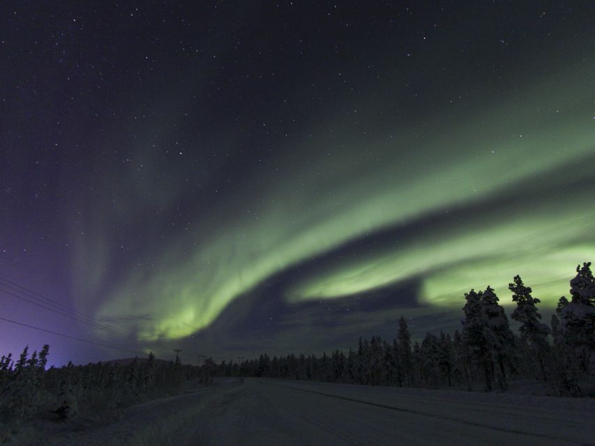From Kiruna: Northern Lights Guided Husky Sledding Adventure - What this Kiruna husky tour is really like
