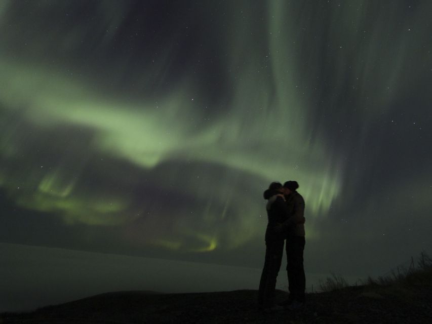 From Kiruna: Northern Lights Guided Husky Sledding Adventure - Meeting the huskies at the base