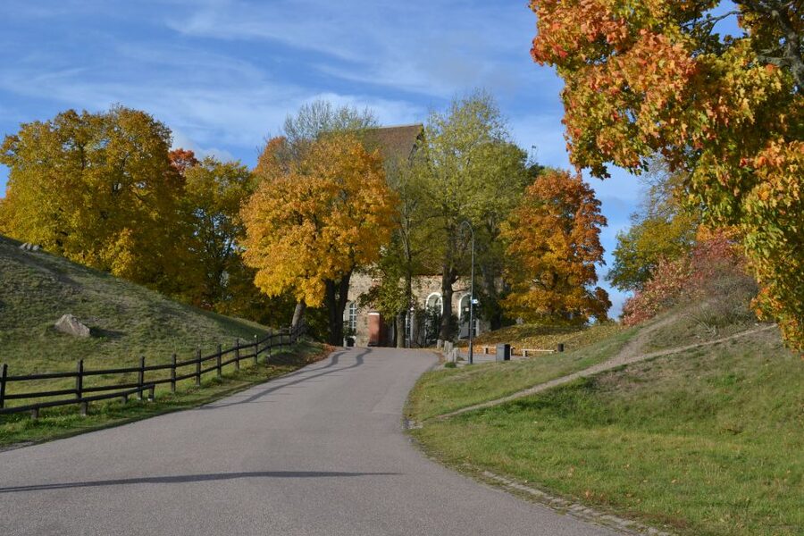 From Stockholm: Uppsala and Sigtuna Viking Sites Tour - Coffee and pastries at Granby farm