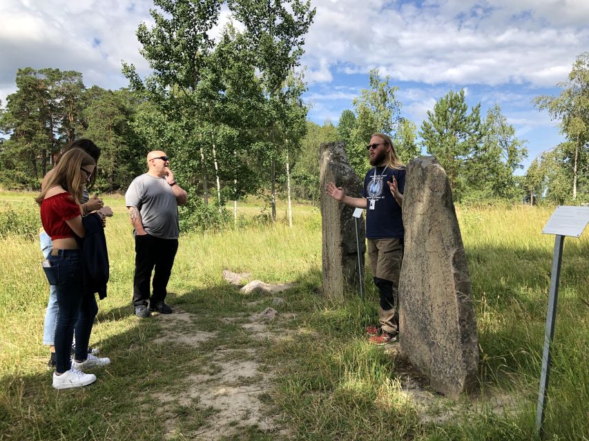 From Stockholm: Viking Culture and Heritage Small Group Tour - Reading the runestones without a museum glass case
