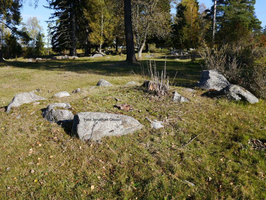 From Stockholm: Viking Culture and Heritage Small Group Tour - What the three-hour format really gives you