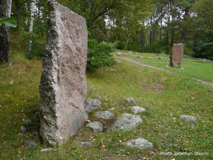 From Stockholm: Viking Culture and Heritage Small Group Tour - Is $138 good value?