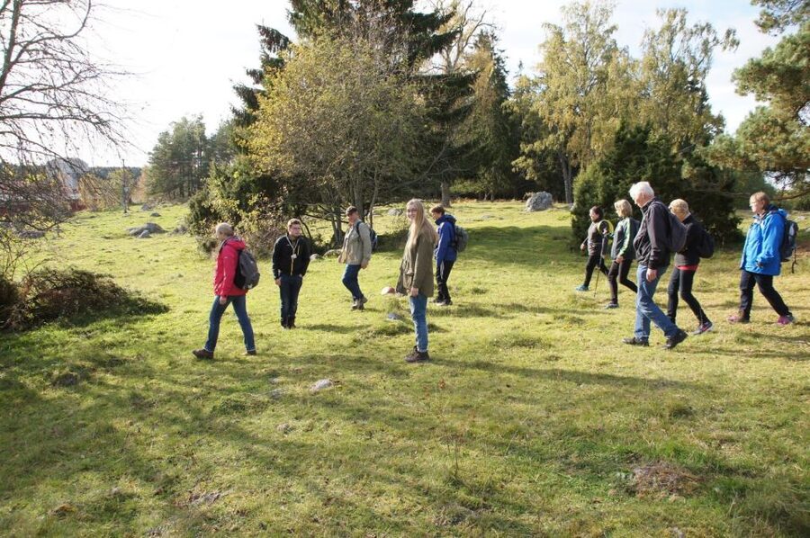 From Stockholm: Viking Culture Guided Tour with Transfer - What the guides add to the day