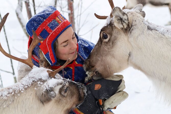 Full-Day Reindeer Tour with Pickup in Kiruna - Key things to know before you book
