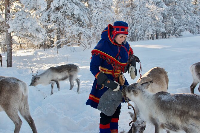 Full-Day Reindeer Tour with Pickup in Kiruna - Warm clothing before the outdoor work