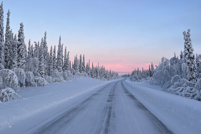 Full-Day Reindeer Tour with Pickup in Kiruna - Sámi life explained by people who live it