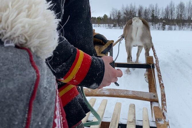 Full-Day Reindeer Tour with Pickup in Kiruna - The one-kilometer reindeer sled ride
