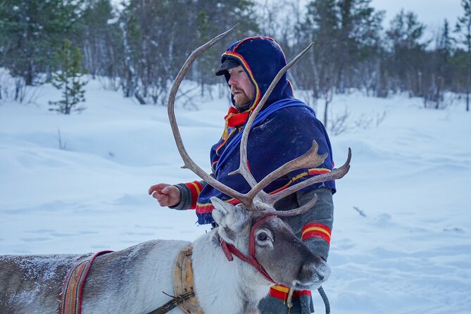 Full-Day Reindeer Tour with Pickup in Kiruna - Who will enjoy this day most?